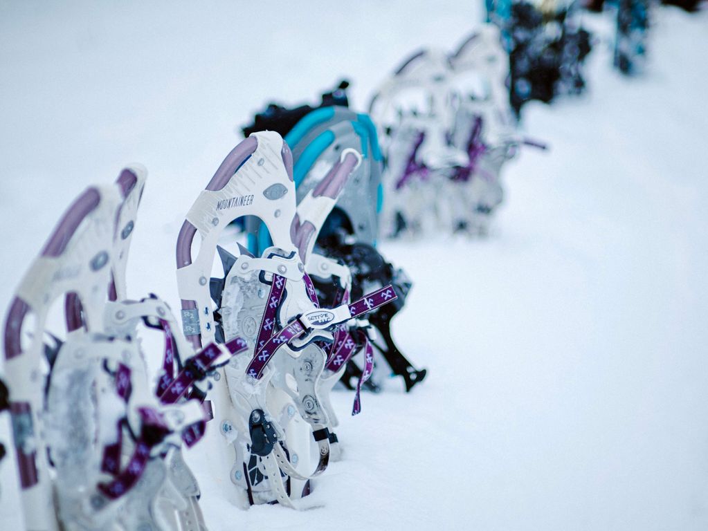 Sneeuwschoenwandelen activiteit met de groep